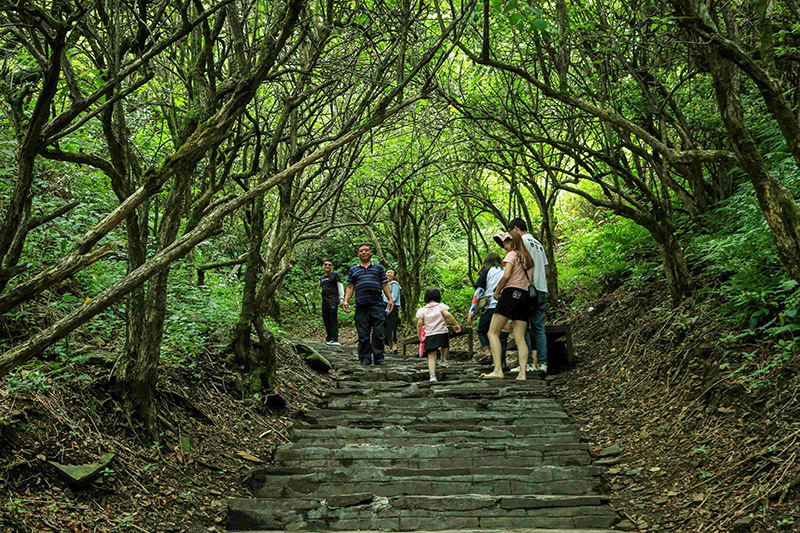贵州播州：打造区域旅游新业态