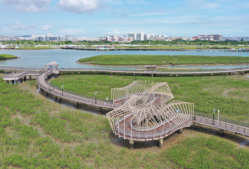 福建厦门：持续推进生态保护 打造良好海洋生态环境