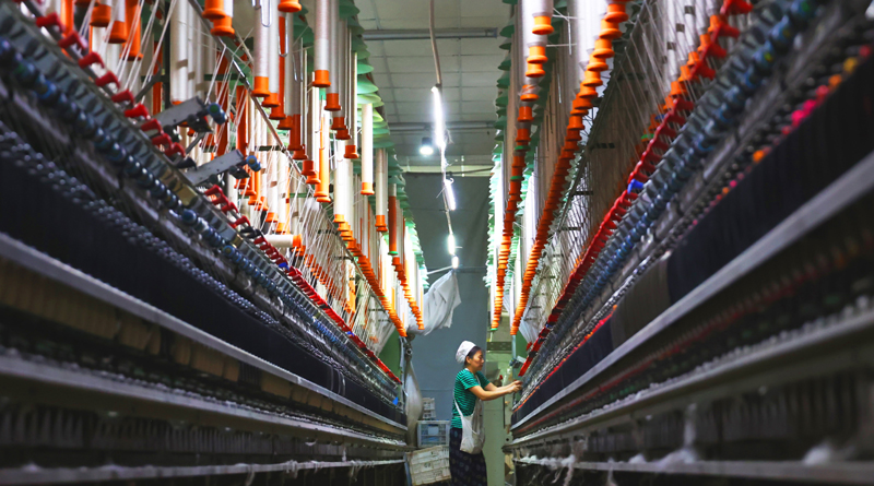 今年上半年中国GDP同比增长5.5%