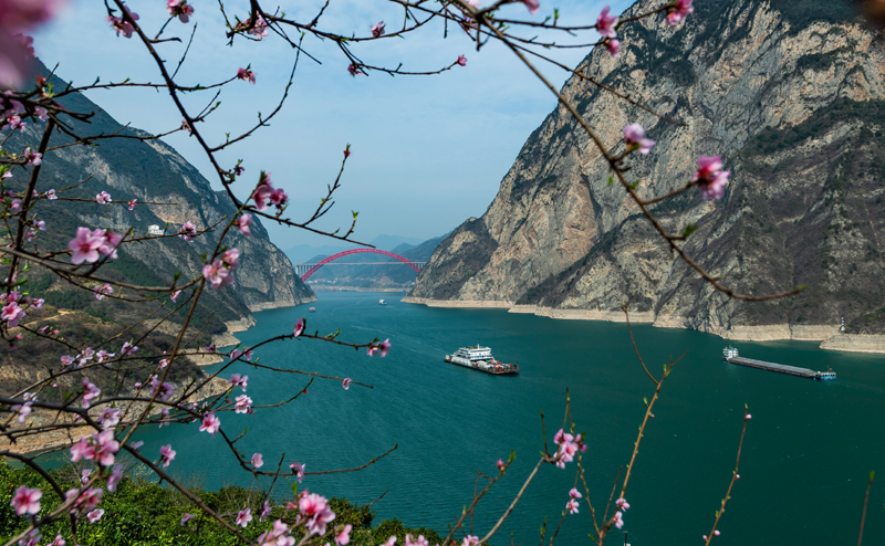 新时代中国调研行 | 峻秀三峡