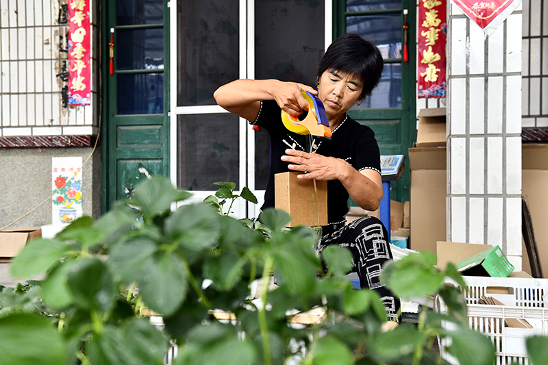 山东惠民:“庭院经济+”激发农村经济活力