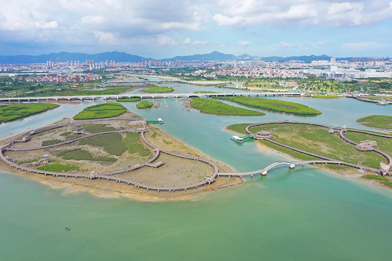 福建厦门：持续推进生态保护 打造良好海洋生态环境