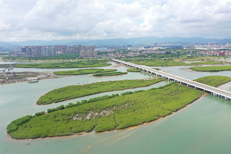 福建厦门：持续推进生态保护 打造良好海洋生态环境