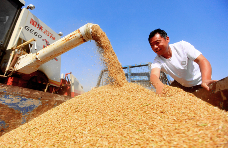 今年上半年中国GDP同比增长5.5%