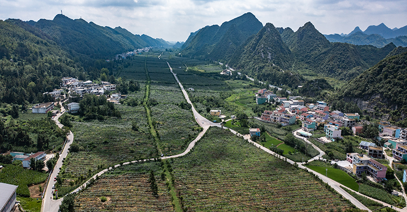 贵州：建好农村公路 为乡村振兴提速
