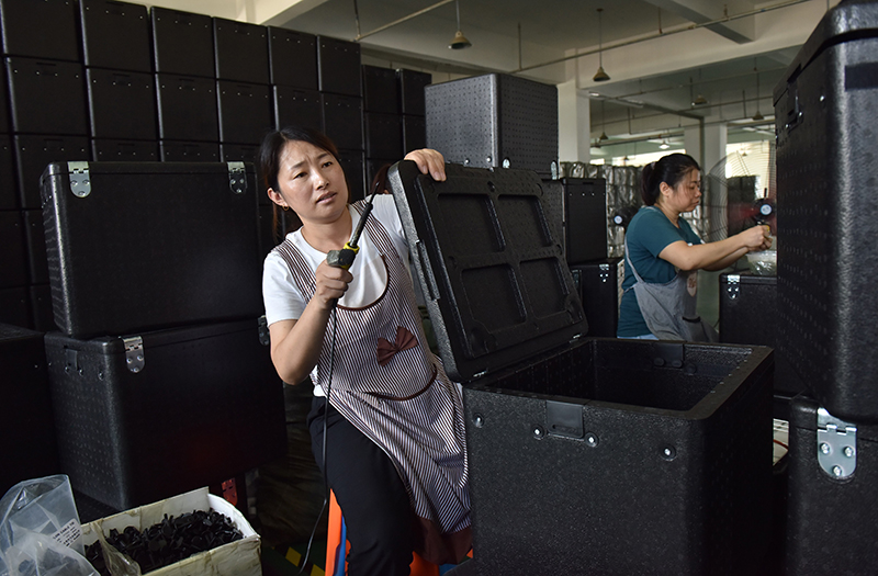 河北威县：送“岗”到家助力就业增收