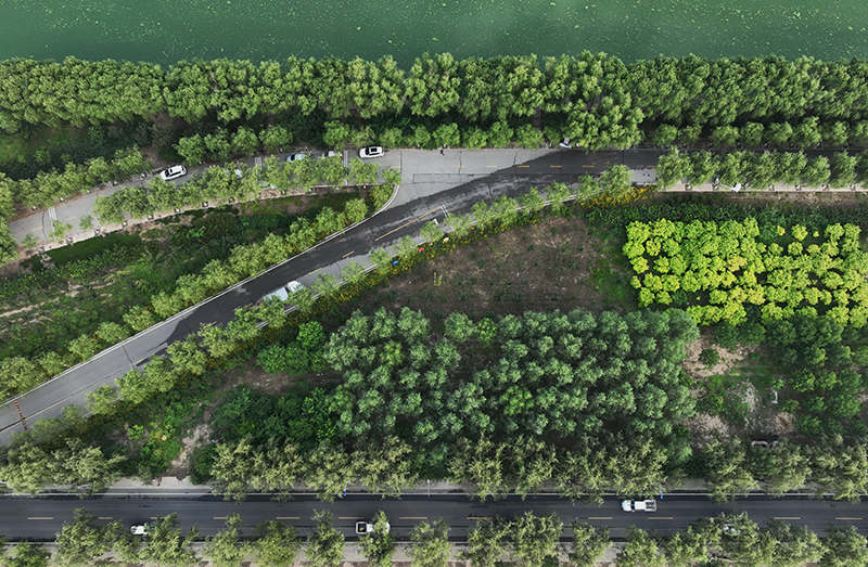 河北丰南：加大公路建设力度 助力乡村振兴
