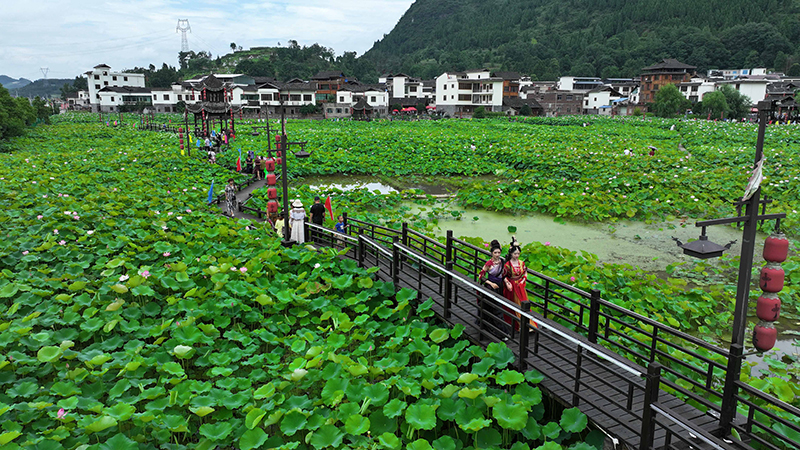 贵州岑巩：人居环境整治 扮靓美丽乡村