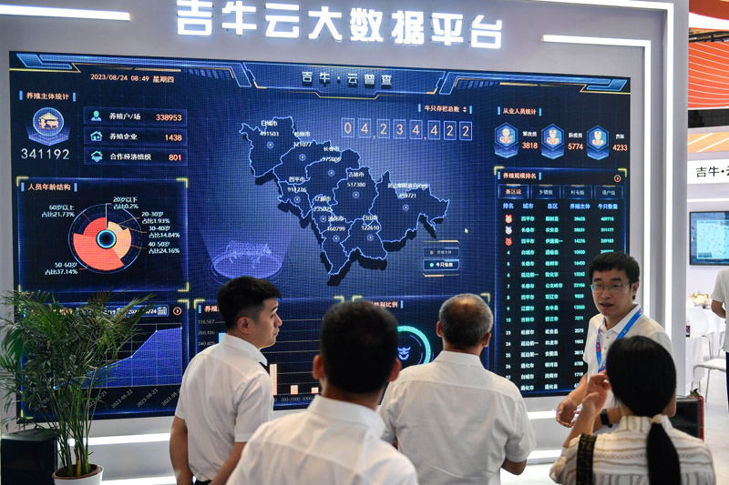 解码第十四届中国—东北亚博览会:汇共识 谋开放 释活力