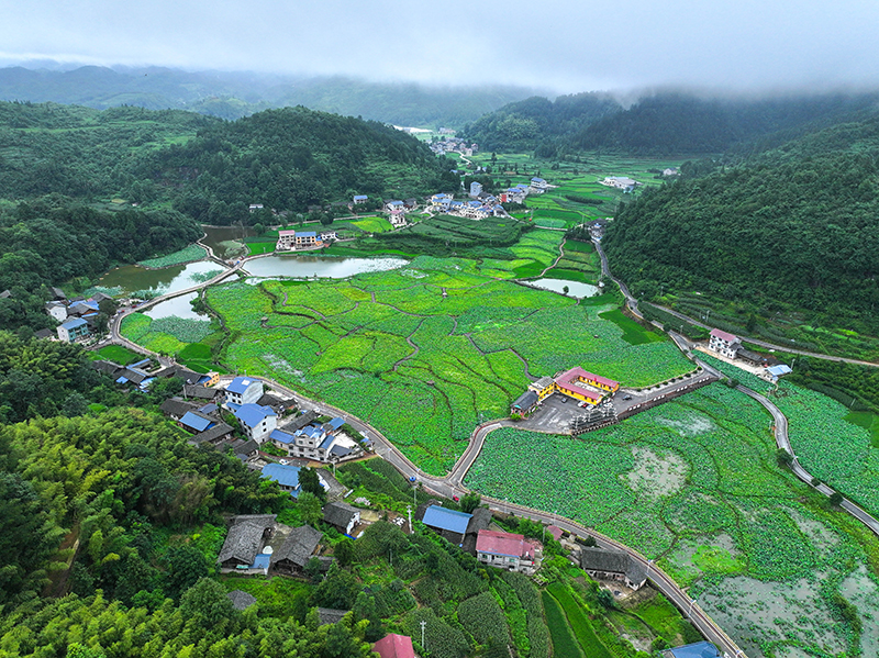 贵州岑巩：人居环境整治 扮靓美丽乡村