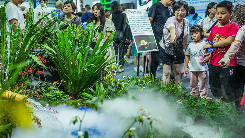 贵州省举办首届科技节活动