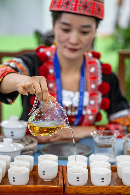南博会首届南亚茶叶节开幕