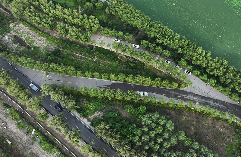 河北丰南：加大公路建设力度 助力乡村振兴