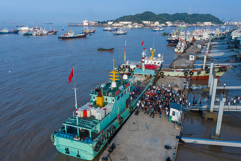 东海“小开渔” 首批新鲜鱼获归港