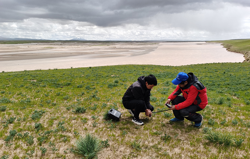 新时代中国调研行 | 冰川·河湖·湿地——江源科考探究全球气候变暖背景下长江源区生态环境之变