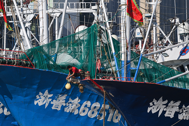 东海“小开渔” 千帆出海忙