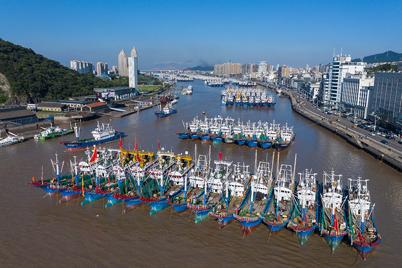 东海“小开渔” 千帆出海忙