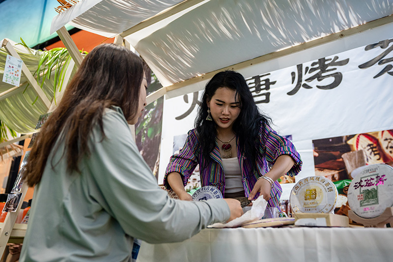 非凡十年枝繁叶茂——七届南博会见证中国南亚合作硕果累累