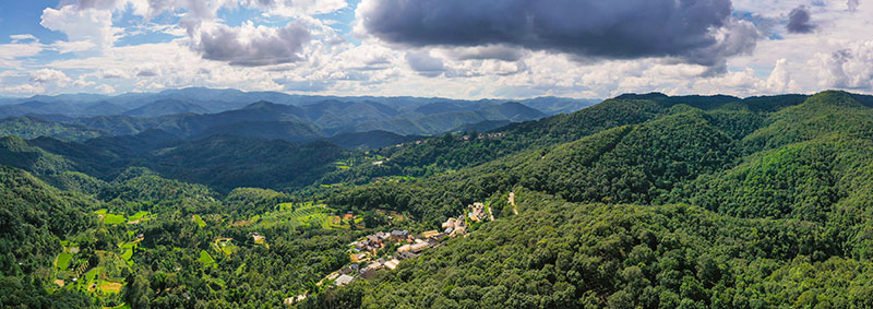 天空之眼瞰祖国——飞阅景迈山古茶林文化景观