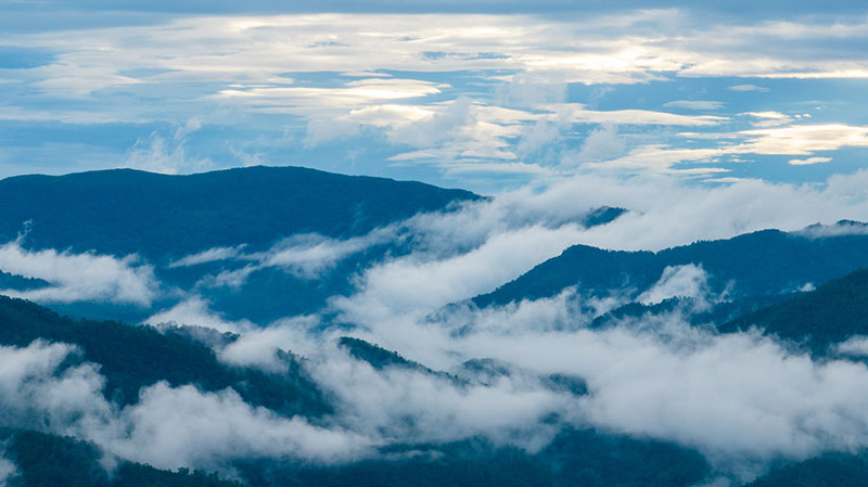天空之眼瞰祖国——飞阅景迈山古茶林文化景观