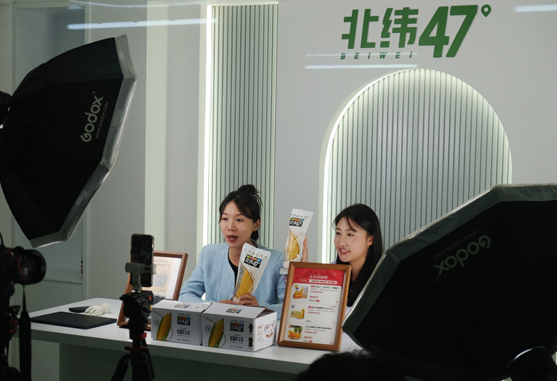 高质量发展调研行 | 让饭碗装上更多优质“龙江粮”：黑龙江打造特色现代农业