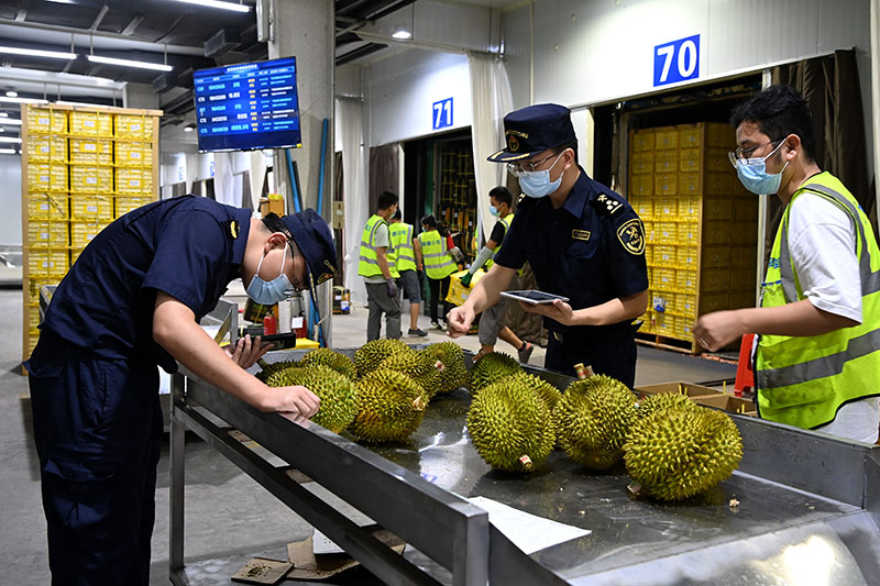 东盟榴莲的跨境之旅