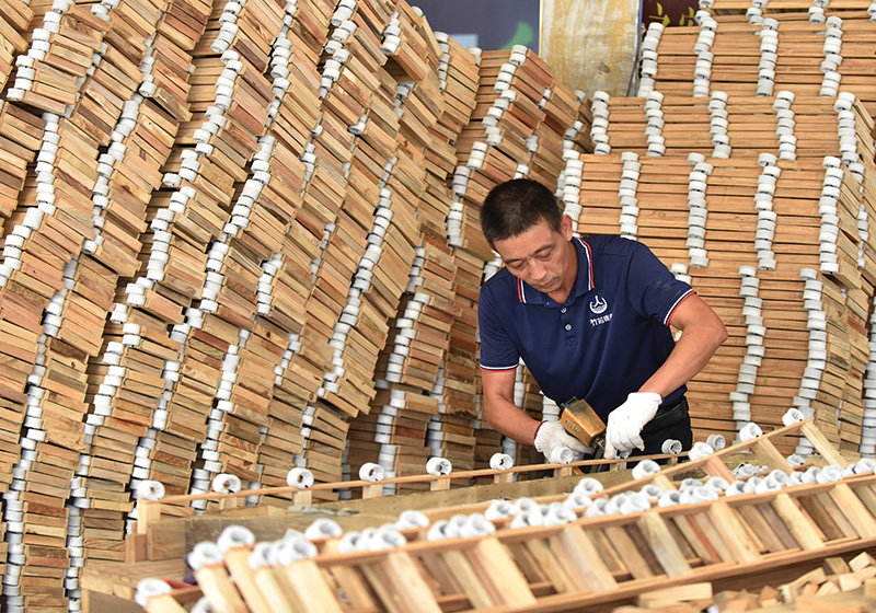 湖南双峰：南竹深加工助农增收