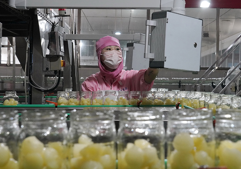河北遵化：农产品深加工助力乡村振兴
