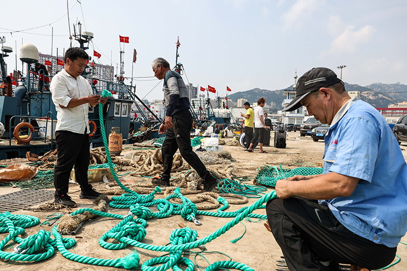 黄渤海伏季休渔结束 千船竞发耕蓝海