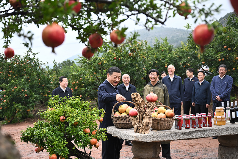 习近平在浙江考察 返京途中在山东枣庄考察