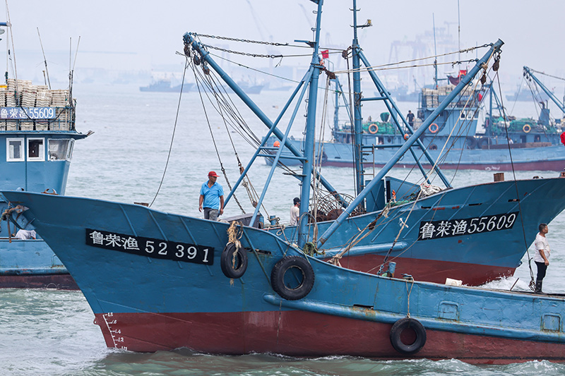 黄渤海伏季休渔结束 千船竞发耕蓝海