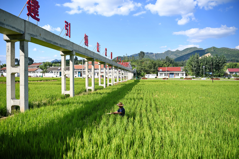 河北唐山：长城脚下 小康村似“珍珠链”