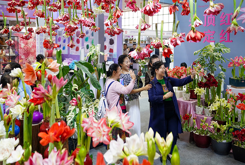第二十一届中国昆明国际花卉展开幕