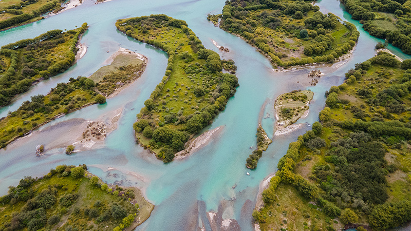西藏林芝：雅尼湿地水清岸绿