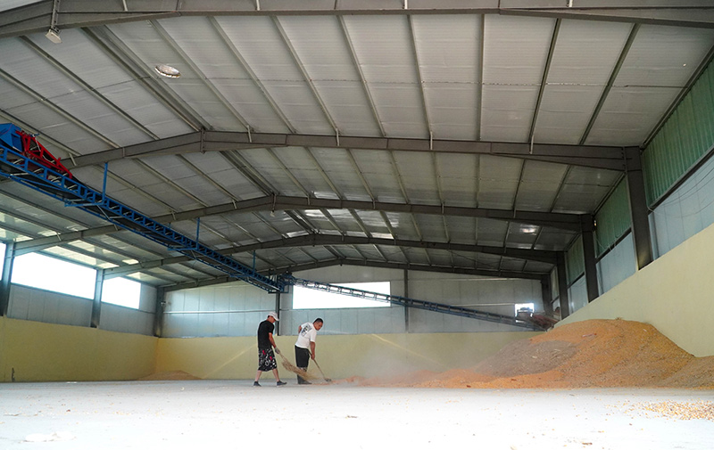 山东新泰：秋粮收获忙
