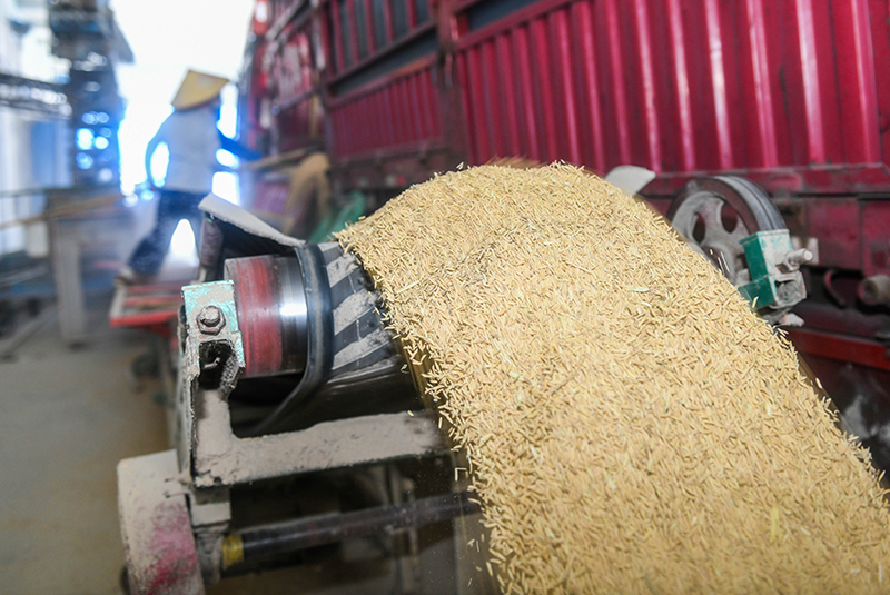 湖南道县：粮食收储 平稳有序