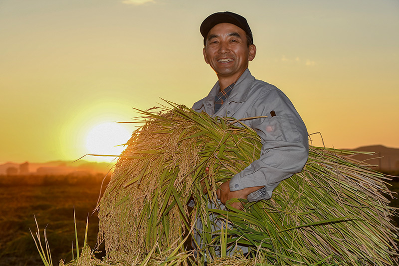 农机入田 农技下乡——吉林力争当好国家粮食稳产保供“压舱石”