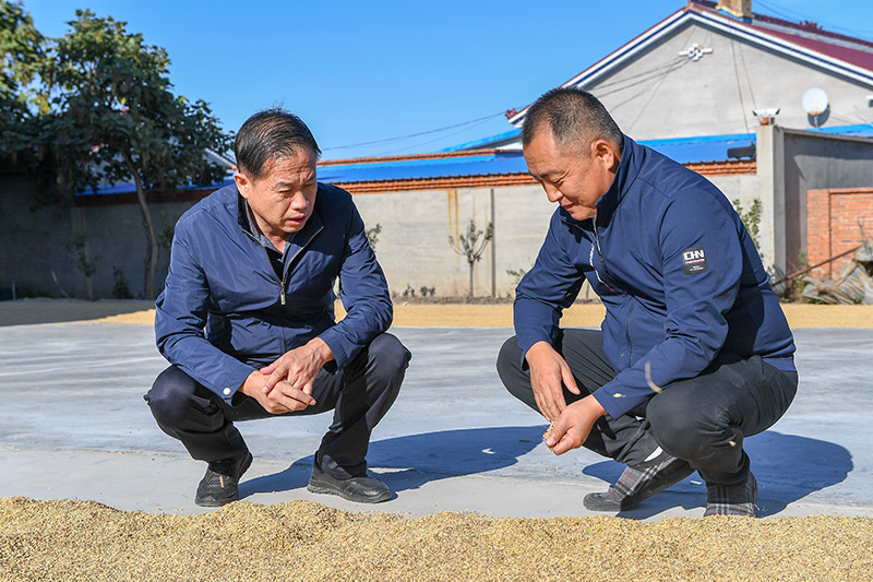农机入田 农技下乡——吉林力争当好国家粮食稳产保供“压舱石”