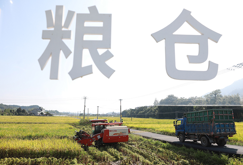 秋收正当时