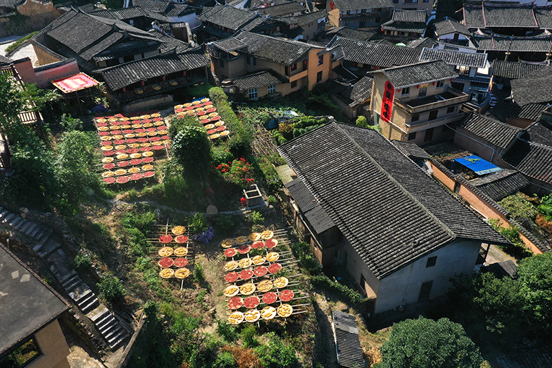福建尤溪：古村“晒秋”忙