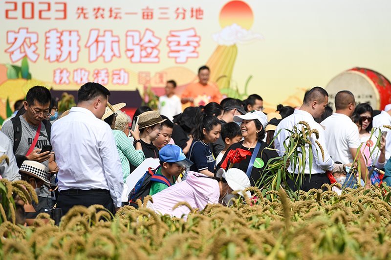 北京：先农坛里体验秋收农耕