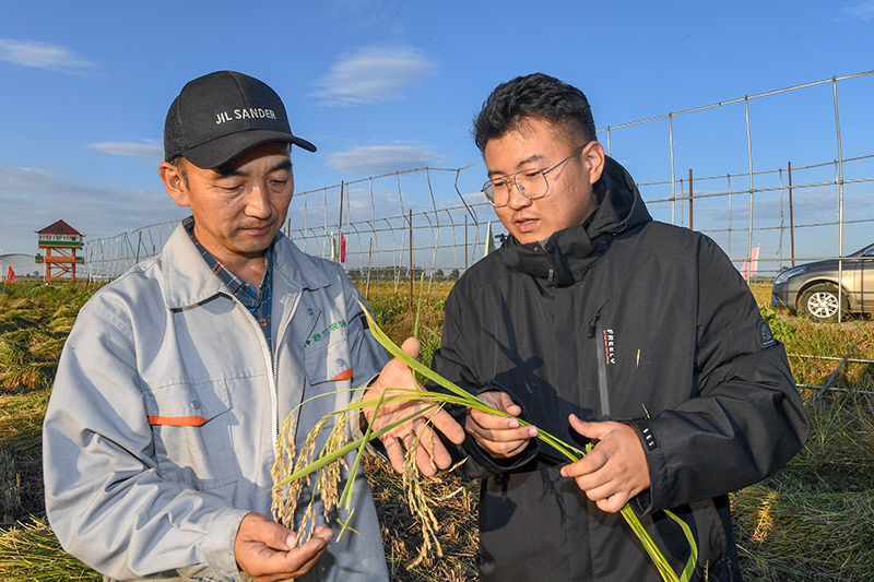 农机入田 农技下乡——吉林力争当好国家粮食稳产保供“压舱石”