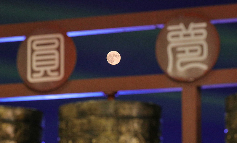 天涯明月共此时