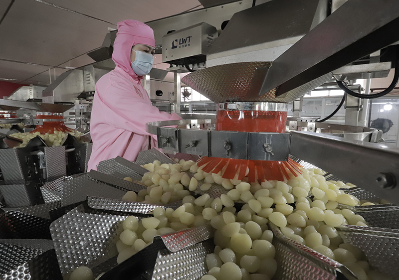 河北遵化：农产品深加工助力乡村振兴