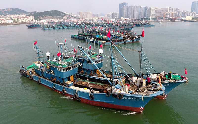 黄渤海伏季休渔结束 千船竞发耕蓝海