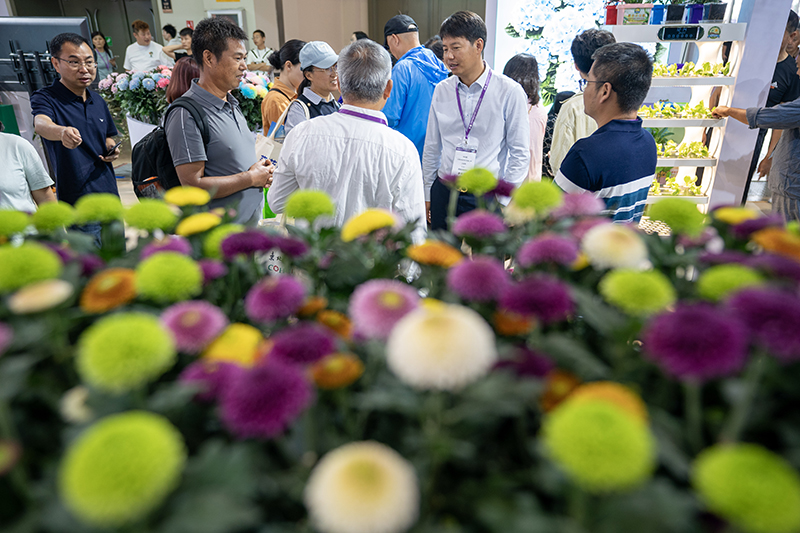 第二十一届中国昆明国际花卉展开幕