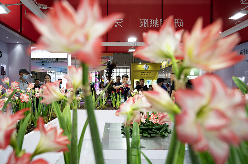 第二十一届中国昆明国际花卉展开幕