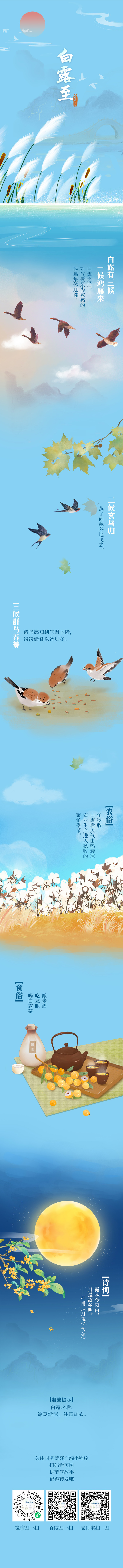 今日白露