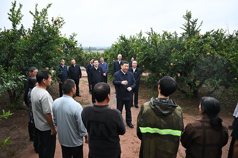习近平在浙江考察 返京途中在山东枣庄考察