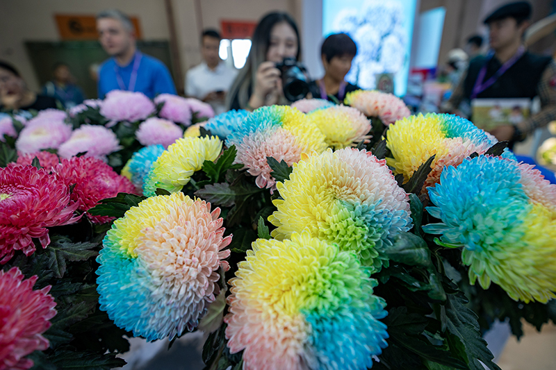 第二十一届中国昆明国际花卉展开幕